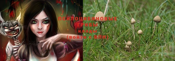 гидра Абинск