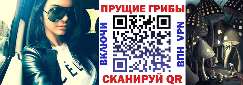 сколько стоит  Ростов-на-Дону  Галлюциногенные грибы Psilocybe 